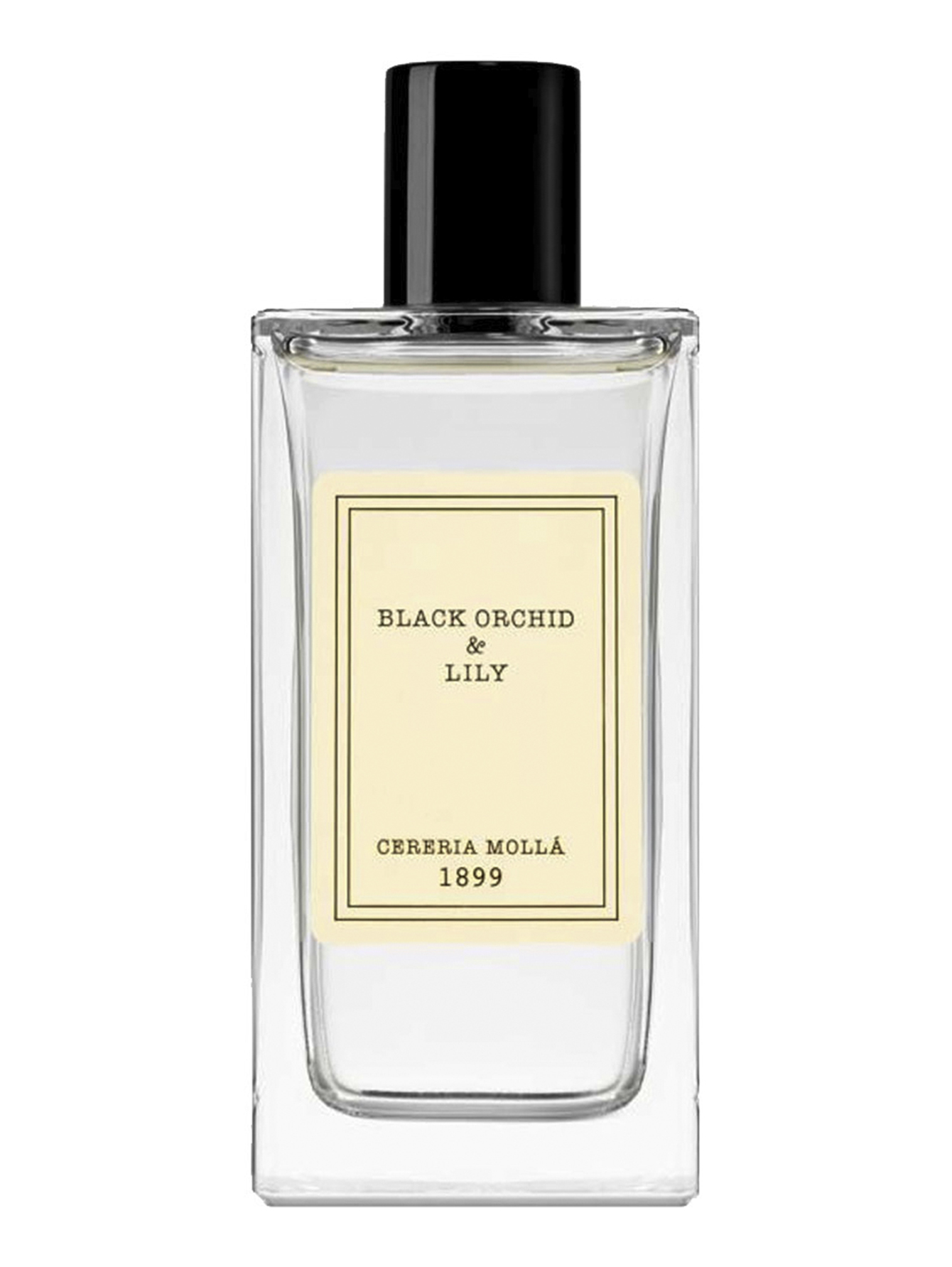 Рум-спрей для дома Black Orchid & Lily, 100 мл Cereria Molla 1889 (694785)  купить по цене 4 500 руб. в интернет-магазине ГУМ