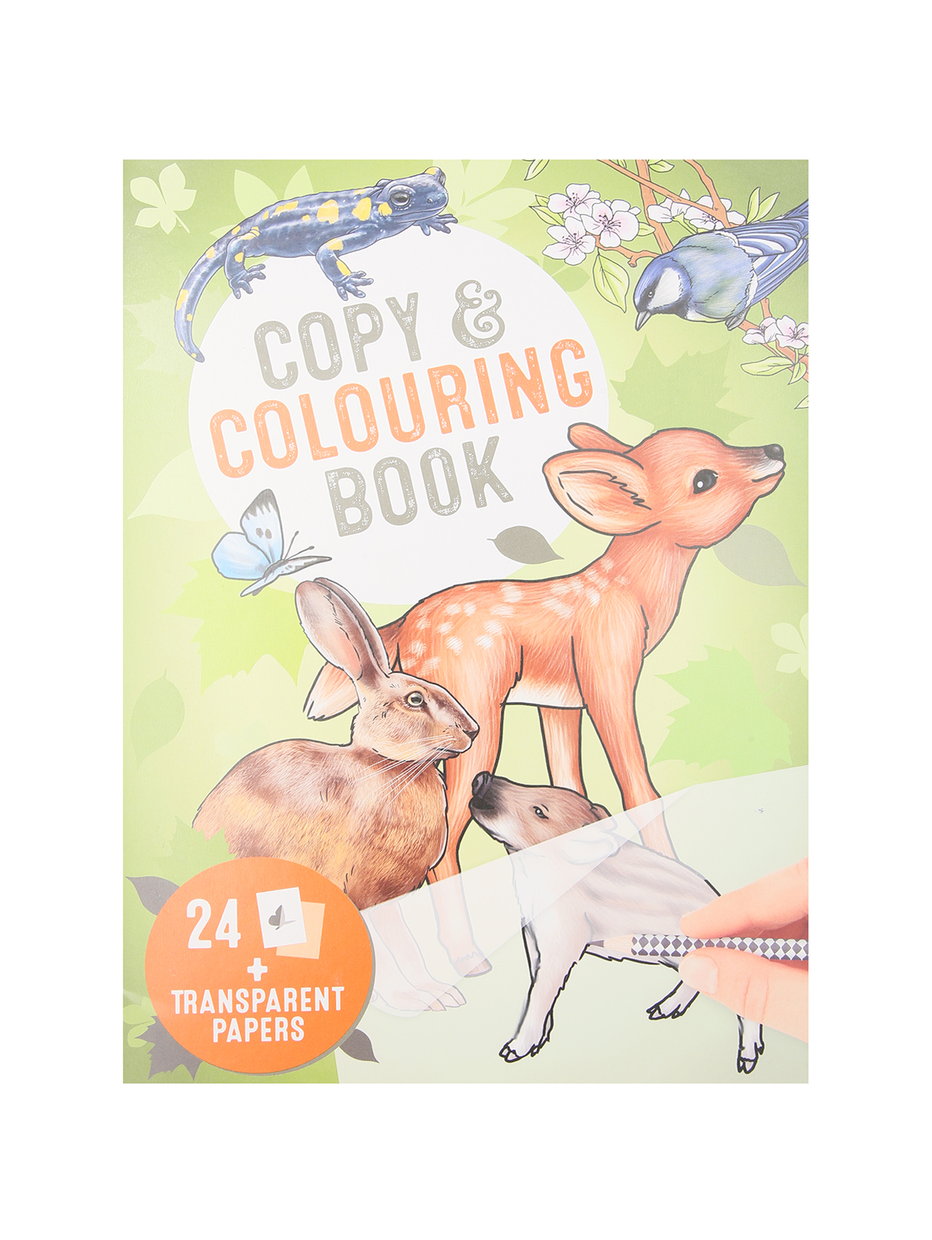 Раскраска copy&colouring book - Общий вид