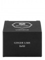 Ароматизатор для автомобиля - сменный блок Ginger Lime - Деталь