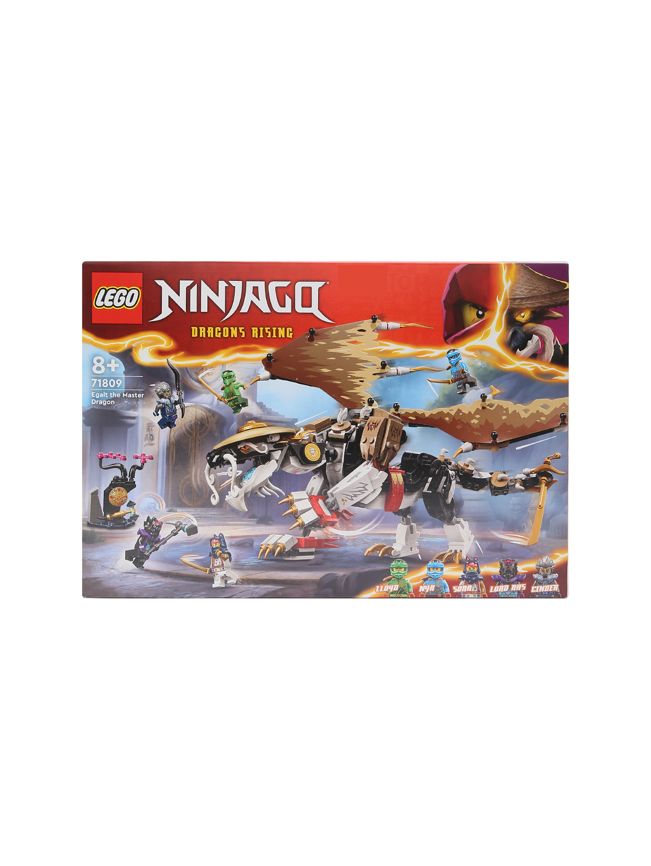 Конструктор LEGO Ninjago  - Общий вид